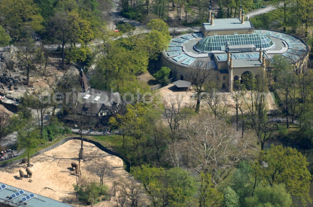 Aerial image Berlin - Frühjahrsstimmung im Berliner Zoo in Berlin-Charlottenburg. Spring mood in the Berlin Zoo in Berlin-Charlottenburg.