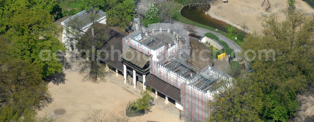 Aerial photograph Berlin - Frühjahrsstimmung im Berliner Zoo in Berlin-Charlottenburg. Spring mood in the Berlin Zoo in Berlin-Charlottenburg.