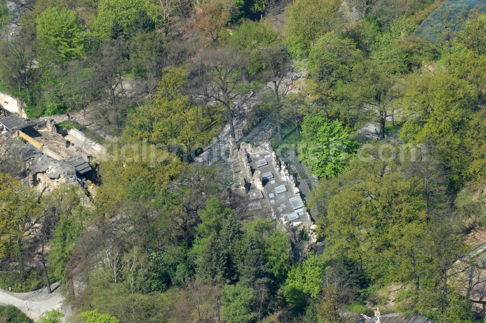 Aerial image Berlin - Frühjahrsstimmung im Berliner Zoo in Berlin-Charlottenburg. Spring mood in the Berlin Zoo in Berlin-Charlottenburg.