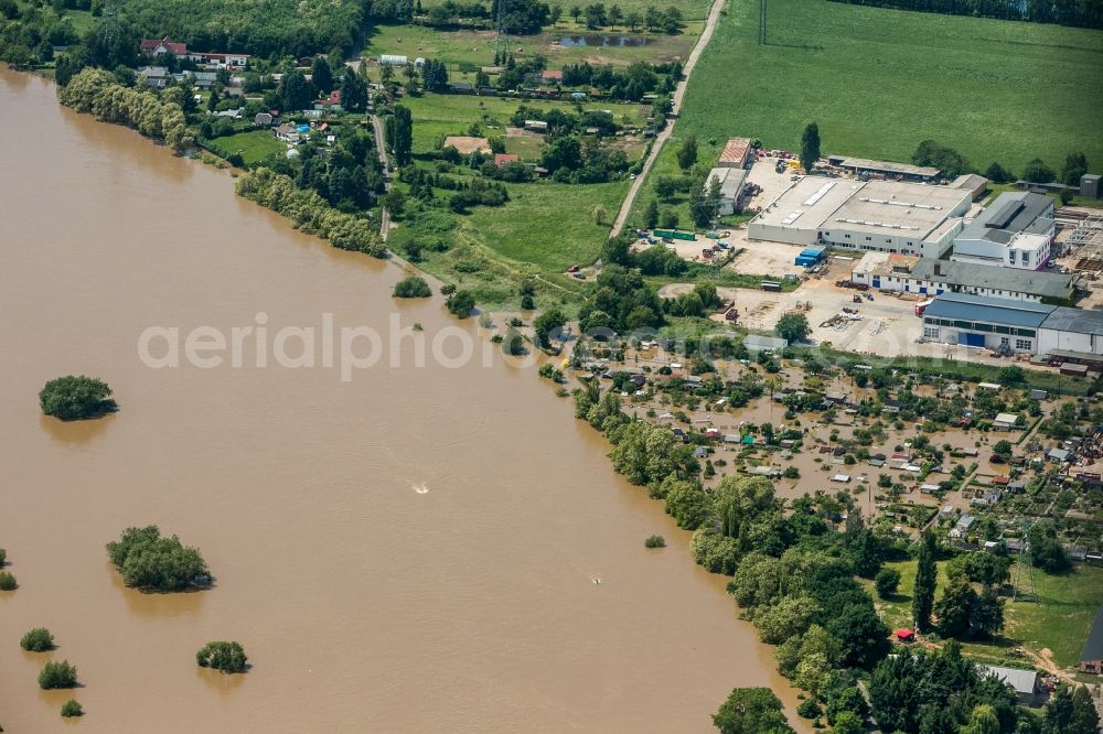 Aerial photograph Radebeul - Flooding due to high water on the Elbe river at the towns of Gohlis and Radebeul in the state of Saxony. View on green houses, recreation areas, and small city parts. Taken from the Elbe north shore