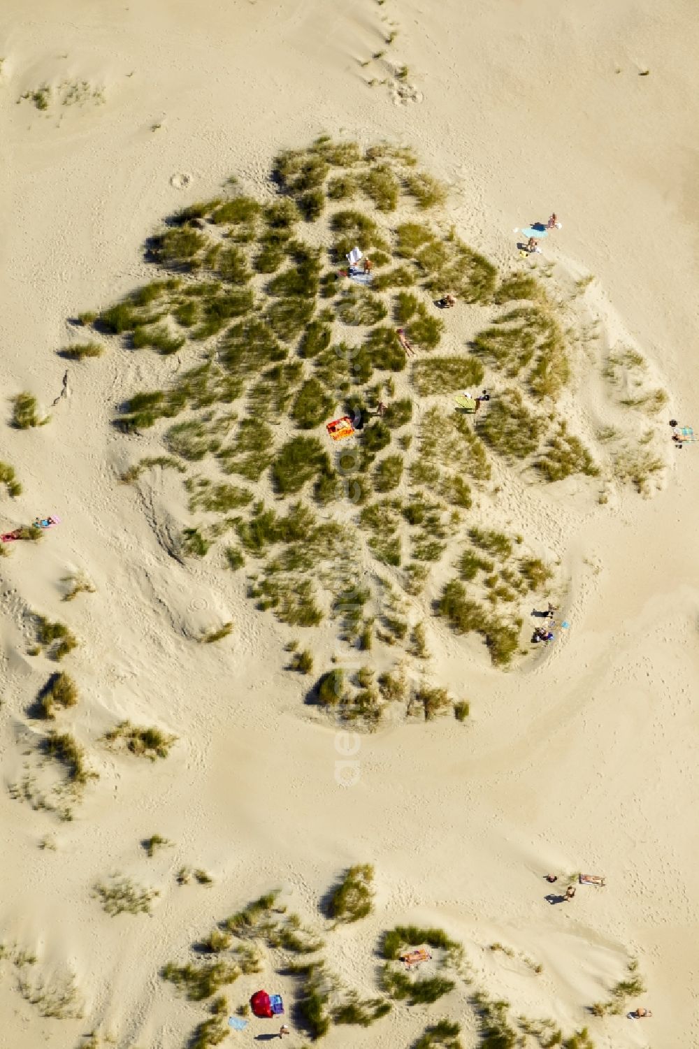 Norderney from above - Visitors on the sandy beach of the island of Norderney in the North Sea in Lower Saxony