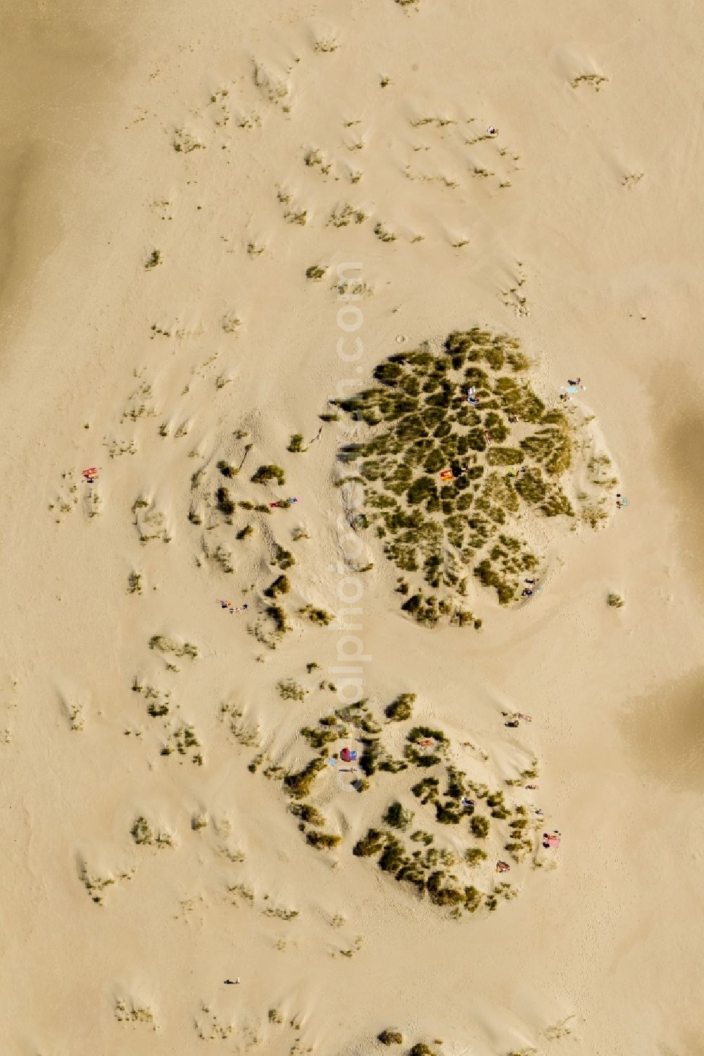 Aerial image Norderney - Visitors on the sandy beach of the island of Norderney in the North Sea in Lower Saxony