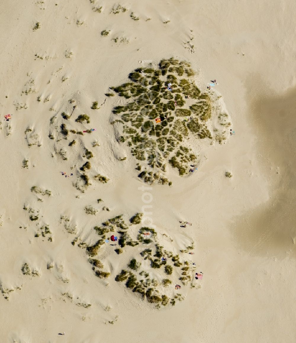 Aerial photograph Norderney - Visitors on the sandy beach of the island of Norderney in the North Sea in Lower Saxony