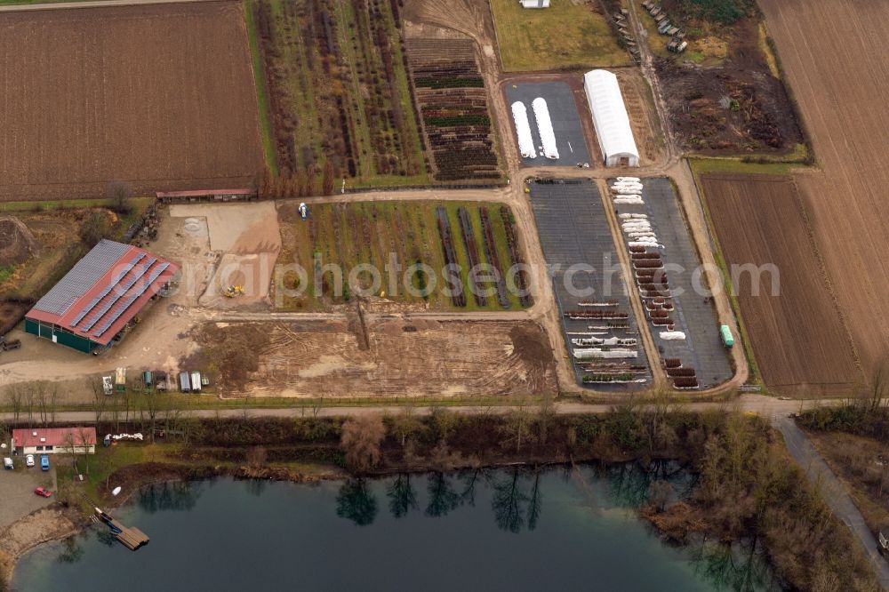 Aerial photograph Ettenheim - Company grounds and facilities of of Baumschule Brossmer on Apostelsee in Ettenheim in the state Baden-Wuerttemberg, Germany