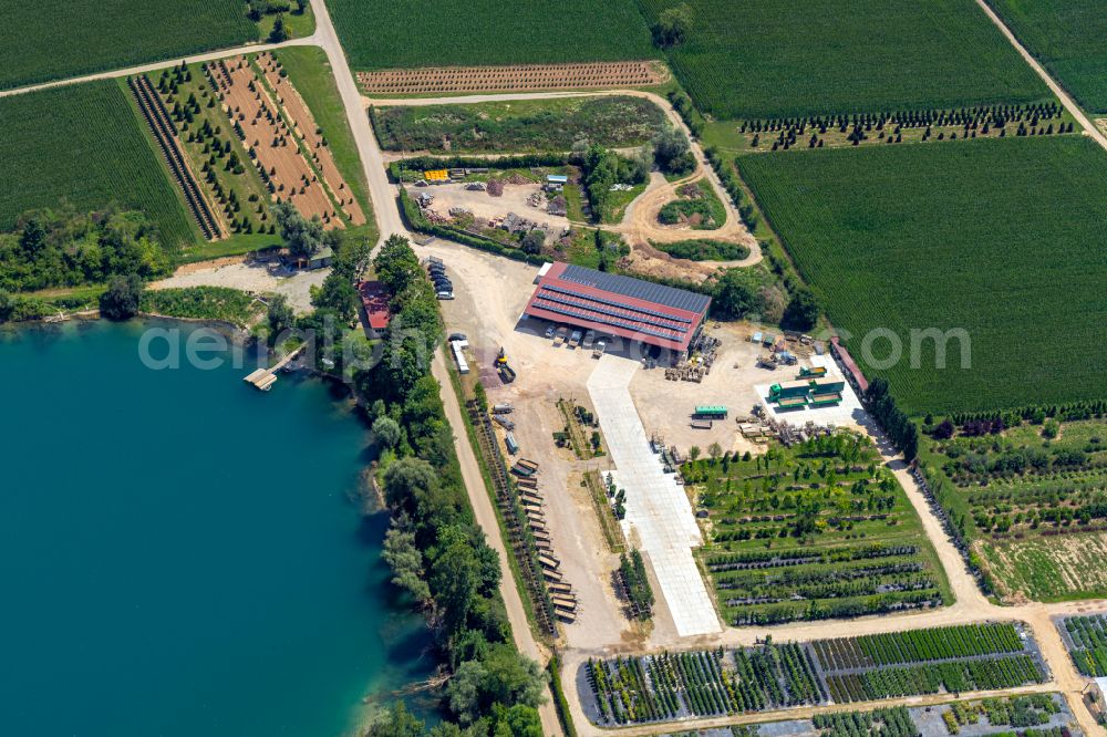 Ettenheim from the bird's eye view: Company grounds and facilities of of Baumschule Brossmer on Apostelsee in Ettenheim in the state Baden-Wuerttemberg, Germany