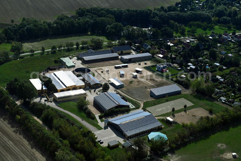 Krosigk from the bird's eye view: Site of the depot of the of Landgut Krosigk GmbH in Krosigk in the state Saxony-Anhalt, Germany