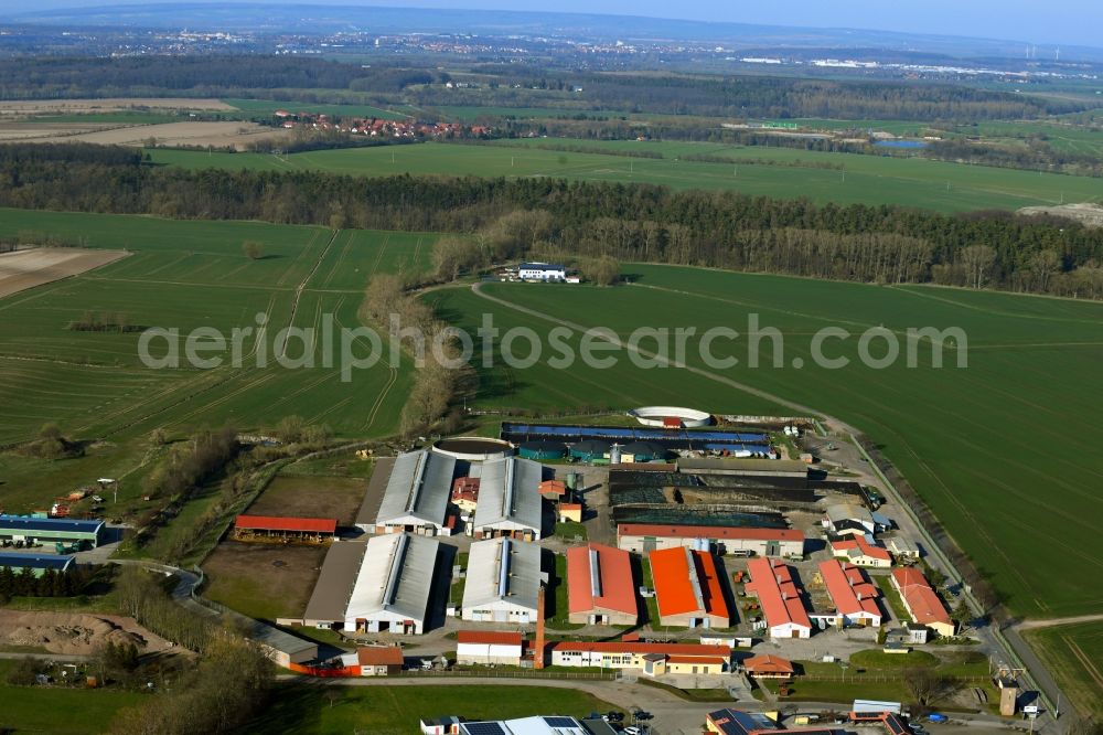 Aerial photograph Ernstroda - Site of the depot of the of TZG Ernstroda GmbH in Ernstroda in the state Thuringia, Germany