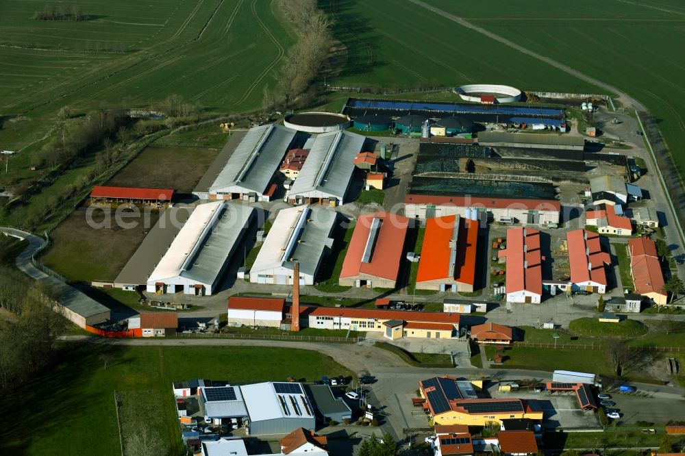 Ernstroda from above - Site of the depot of the of TZG Ernstroda GmbH in Ernstroda in the state Thuringia, Germany