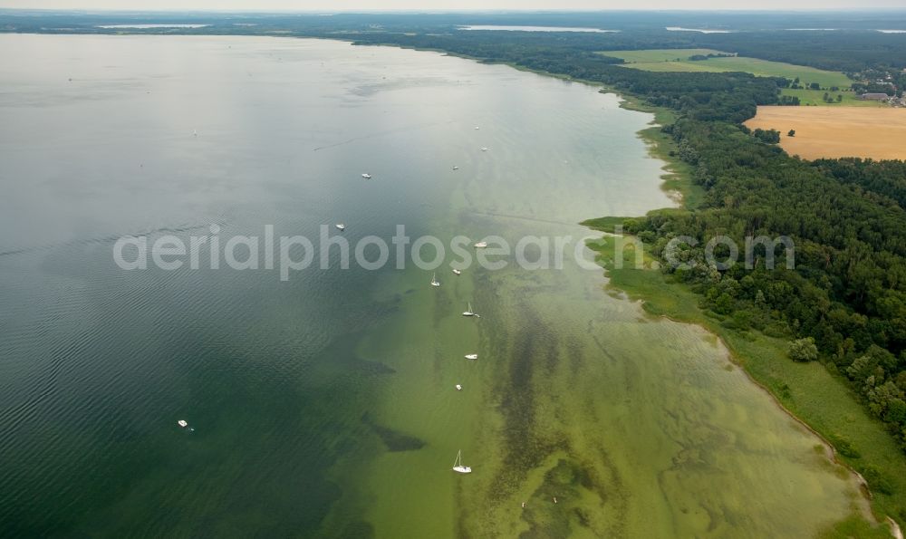 Aerial image Boek - Wooded riparian areas of the Mueritz with small boats in Boek in the state of Mecklenburg - Western Pomerania