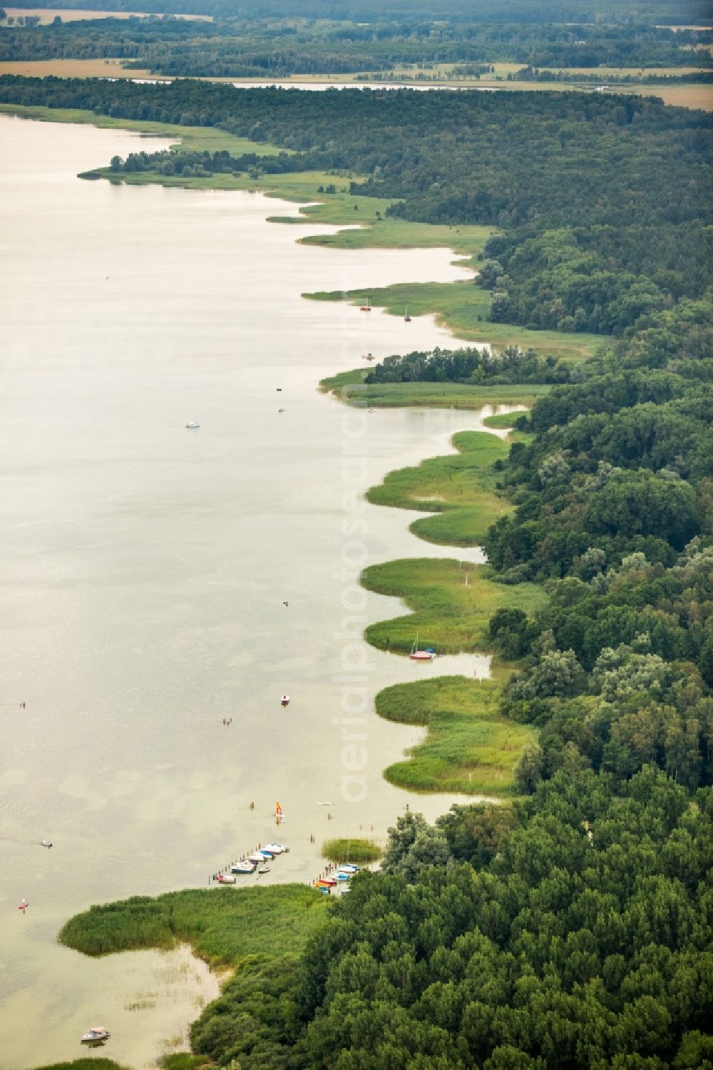 Aerial photograph Boek - Wooded riparian areas of the Mueritz with small boats in Boek in the state of Mecklenburg - Western Pomerania