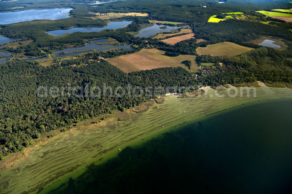 Boeker Mühle from above - Wooded riparian areas of the Mueritz with small boats in Boeker Muehle in the state of Mecklenburg - Western Pomerania