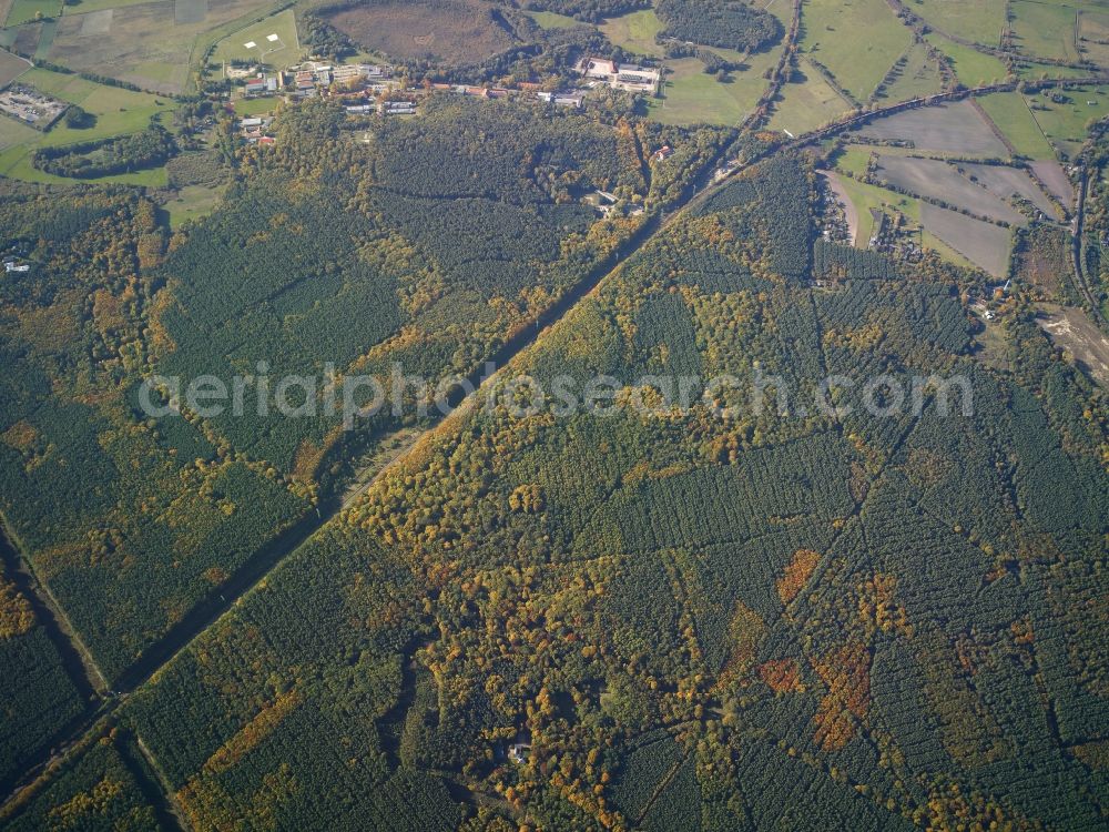 Aerial image Potsdam - The forest area in the district Westliche Vorstadt and the local trackage in Potsdam in the state Brandenburg