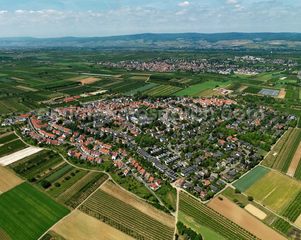 Mainz from above - District view of Drais in Mainz in the state Rhineland-Palatinate