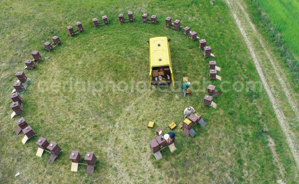 Briesen (Mark) from the bird's eye view: Formation of beehives in an apiary for breeding colonies of bees for honey production Imkerei Janthur Bernd Janthur & Martin Mueller GbR in Briesen (Mark) in the state Brandenburg, Germany