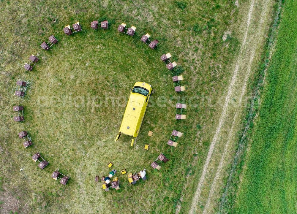 Aerial photograph Briesen (Mark) - Formation of beehives in an apiary for breeding colonies of bees for honey production Imkerei Janthur Bernd Janthur & Martin Mueller GbR in Briesen (Mark) in the state Brandenburg, Germany