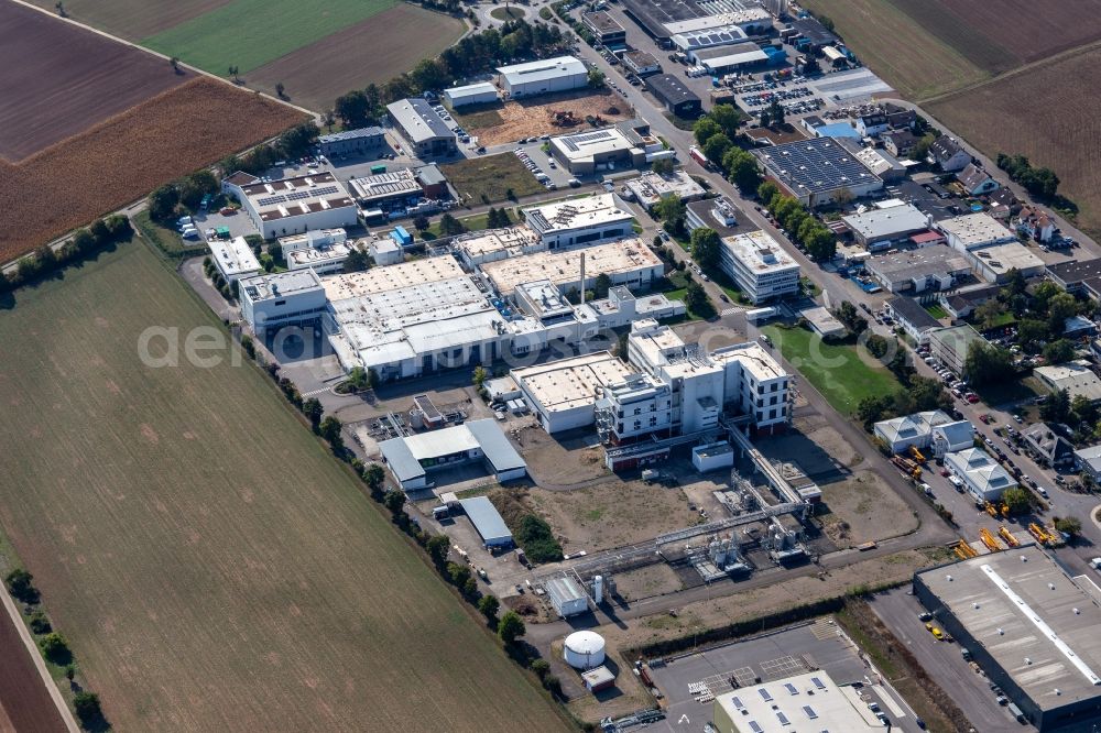 Aerial photograph Plankstadt - Building and production halls on the premises of the brewery Weldebraeu GmbH&Co.KG, Corden Pharma GmbH, AHA!Print and Autohaus Maeulen Christian Maeulen e.K. in Plankstadt in the state Baden-Wuerttemberg, Germany