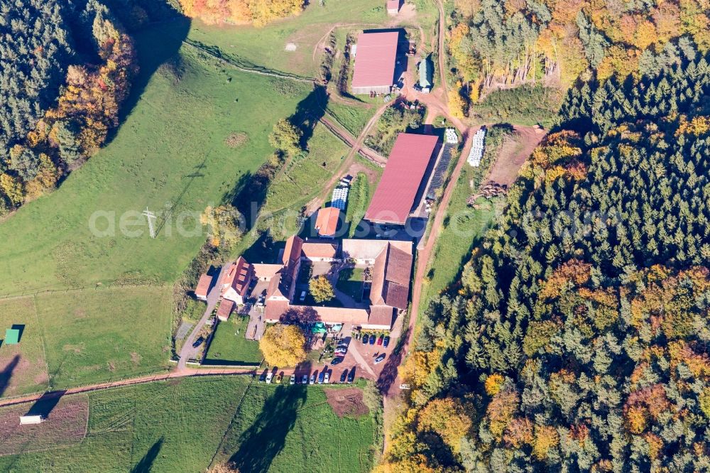 Busenberg from the bird's eye view: Ecological open-air restaurant Baerenbrunnerhof in the district Baerenbrunnerhof in Busenberg in the state Rhineland-Palatinate, Germany