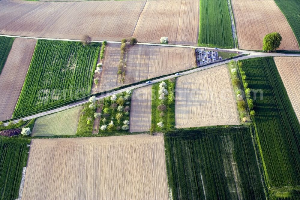 Aerial image Hoffen - Trees with shadow forming by light irradiation on a field in Hoffen in Grand Est, France