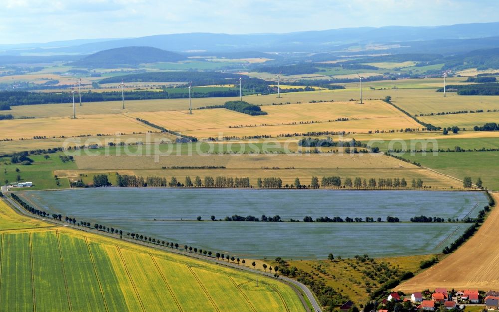 Aerial image Bösleben-Wüllersleben - Blooming linseed- field at Boesleben-Wuellersleben in Thuringia