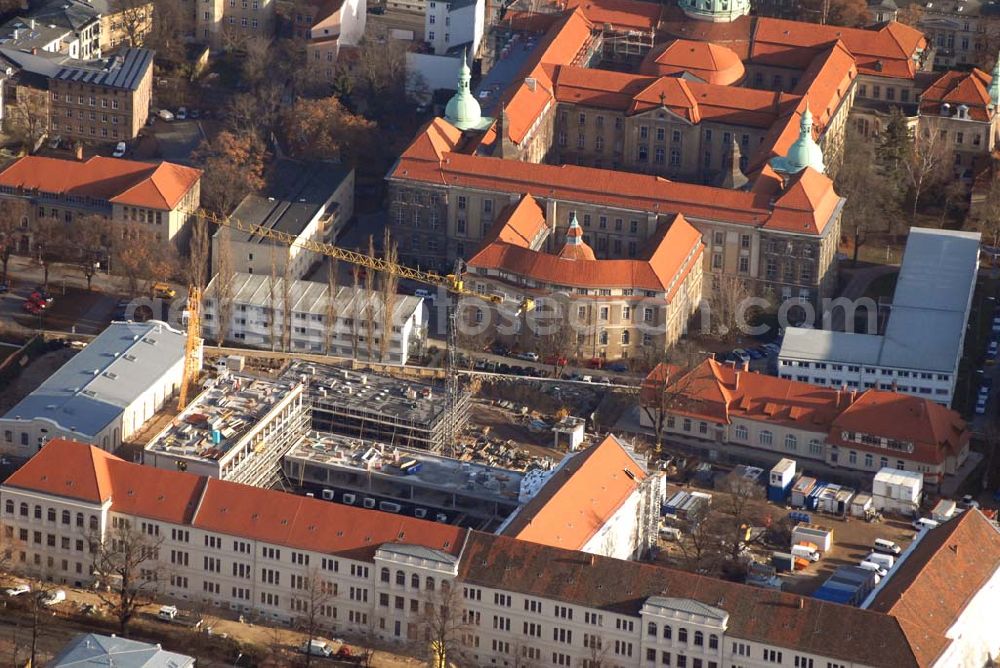 Potsdam from above - Baustelle am Alten Rathaus von Potsdam, in unmittelbarer Nachbarschaft zur St. Nikolaikirche.