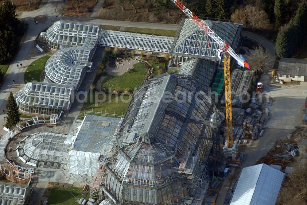 Berlin - Dahlem from above - Blick auf die Baustelle zur Grundsanierung des 100 Jahre alten Wahrzeichens des Botanischen Garten Berlin-Dahlem,dem Großen Tropenhauses.Die Grundsanierung des Großen Tropenhauses war unumgänglich, da das denkmalgeschützte Wahrzeichen für Wissenschaft, Forschung und Lehre sowie für die breite Öffentlichkeit dauerhaft erhalten werden soll. Alle technischen Anlagen sind stark überaltert und entsprechend störanfällig. Das Ausfallrisiko und somit das Gefährdungspotential für die wertvolle Pflanzensammlung ist hoch. Funktionierende Regelungsmöglichkeiten im heutigen Sinne existierten nicht. Die kranartige Befahranlage zur Pflege der riesigen Pflanzen und zur Wartung der Glashülle von innen kann nicht mehr eingesetzt werden. Millionen feiner Haarrisse durchziehen die großflächigen Verglasungen. Seit August 2006 dauernd die bis zum Dezember 2008 geplanten Sanierungsarbeiten.Botanischer Garten und Botanisches Museum Berlin-Dahlem (BGBM) Zentraleinrichtung der Freien Universität Berlin,Königin-Luise-Str. 6-8, 14195 Berlin,Telefon: (+4930) 838-50100 http://