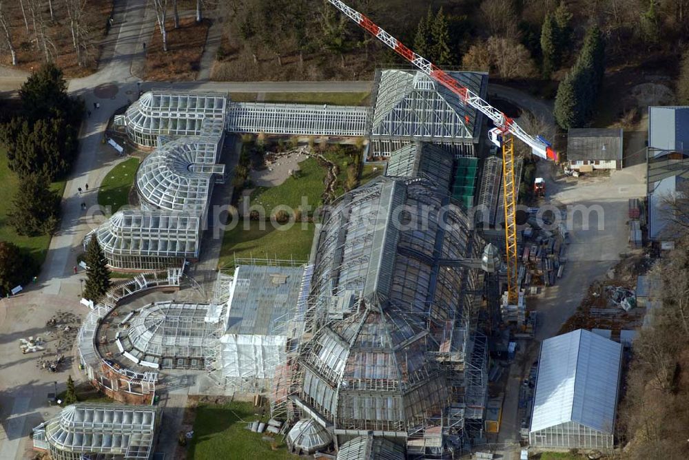 Berlin - Dahlem from the bird's eye view: Blick auf die Baustelle zur Grundsanierung des 100 Jahre alten Wahrzeichens des Botanischen Garten Berlin-Dahlem,dem Großen Tropenhauses.Die Grundsanierung des Großen Tropenhauses war unumgänglich, da das denkmalgeschützte Wahrzeichen für Wissenschaft, Forschung und Lehre sowie für die breite Öffentlichkeit dauerhaft erhalten werden soll. Alle technischen Anlagen sind stark überaltert und entsprechend störanfällig. Das Ausfallrisiko und somit das Gefährdungspotential für die wertvolle Pflanzensammlung ist hoch. Funktionierende Regelungsmöglichkeiten im heutigen Sinne existierten nicht. Die kranartige Befahranlage zur Pflege der riesigen Pflanzen und zur Wartung der Glashülle von innen kann nicht mehr eingesetzt werden. Millionen feiner Haarrisse durchziehen die großflächigen Verglasungen. Seit August 2006 dauernd die bis zum Dezember 2008 geplanten Sanierungsarbeiten.Botanischer Garten und Botanisches Museum Berlin-Dahlem (BGBM) Zentraleinrichtung der Freien Universität Berlin,Königin-Luise-Str. 6-8, 14195 Berlin,Telefon: (+4930) 838-50100 http://