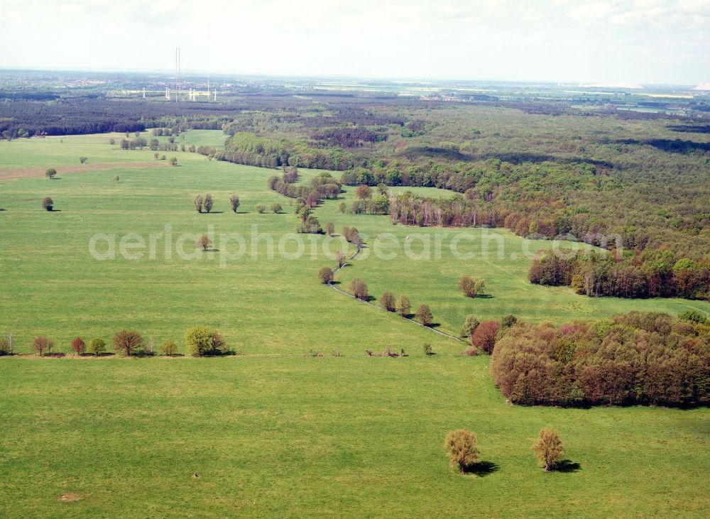 Burg / Sachsen-Anhalt from above - Blick auf das Bürgerholz östlich von Burg am Elbe-Havel-Kanal - Ausgleichs- und Ersatzmaßnahmen am Wasserstraßenkreuz Magdeburg / Elbe-Havel-Kanal. Ein Projekt des Wasserstraßenneubauamtes Magdeburg