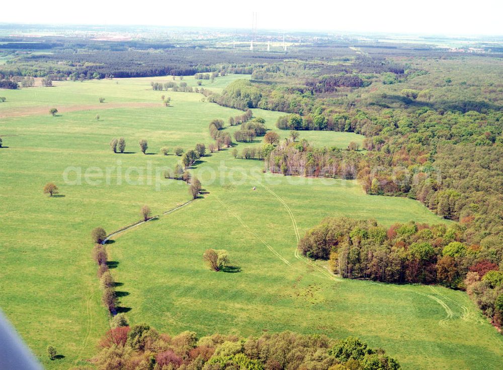 Aerial image Burg / Sachsen-Anhalt - Blick auf das Bürgerholz östlich von Burg am Elbe-Havel-Kanal - Ausgleichs- und Ersatzmaßnahmen am Wasserstraßenkreuz Magdeburg / Elbe-Havel-Kanal. Ein Projekt des Wasserstraßenneubauamtes Magdeburg