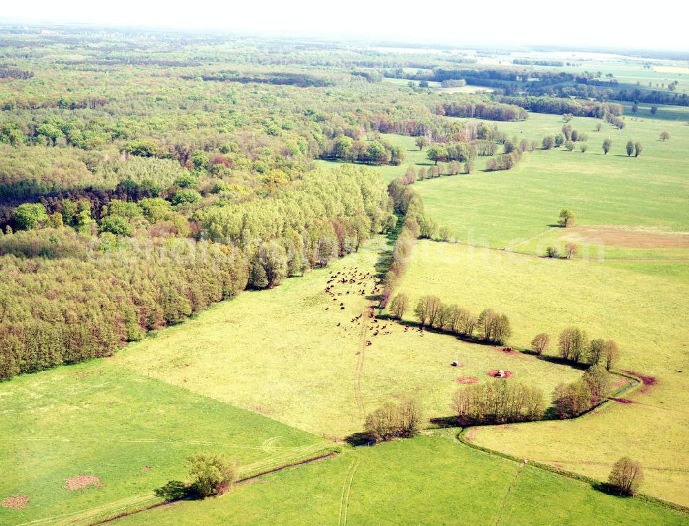 Burg / Sachsen-Anhalt from above - Blick auf das Bürgerholz östlich von Burg am Elbe-Havel-Kanal - Ausgleichs- und Ersatzmaßnahmen am Wasserstraßenkreuz Magdeburg / Elbe-Havel-Kanal. Ein Projekt des Wasserstraßenneubauamtes Magdeburg