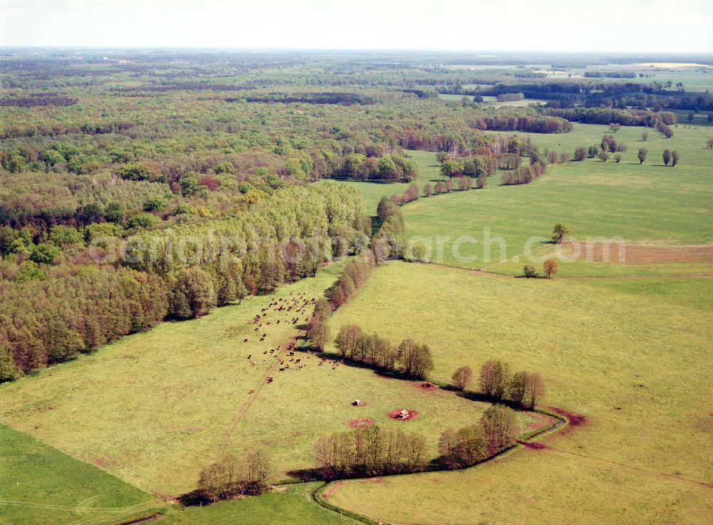 Burg / Sachsen-Anhalt from the bird's eye view: Blick auf das Bürgerholz östlich von Burg am Elbe-Havel-Kanal - Ausgleichs- und Ersatzmaßnahmen am Wasserstraßenkreuz Magdeburg / Elbe-Havel-Kanal. Ein Projekt des Wasserstraßenneubauamtes Magdeburg