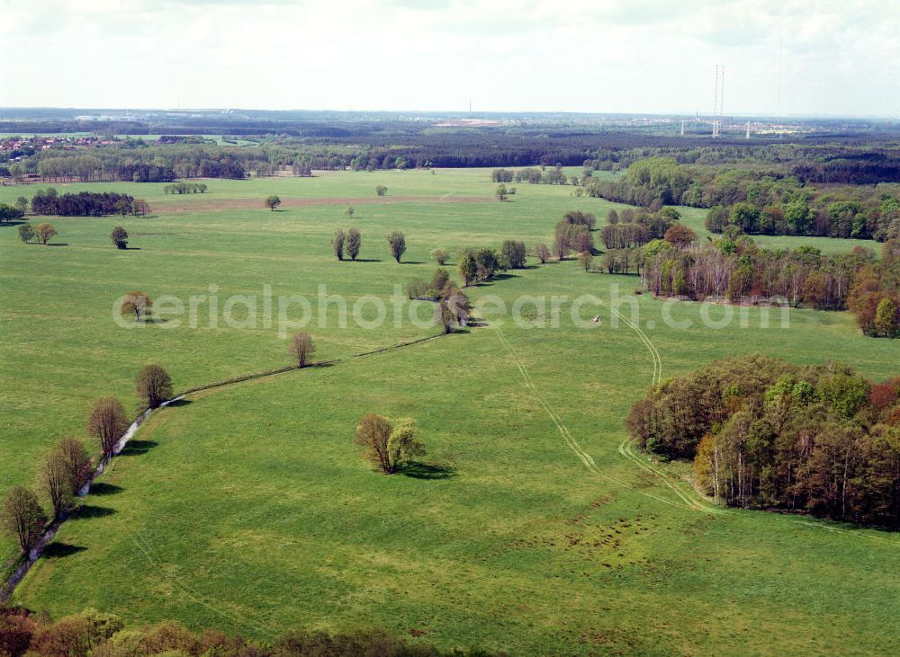 Burg / Sachsen-Anhalt from above - Blick auf das Bürgerholz östlich von Burg am Elbe-Havel-Kanal - Ausgleichs- und Ersatzmaßnahmen am Wasserstraßenkreuz Magdeburg / Elbe-Havel-Kanal. Ein Projekt des Wasserstraßenneubauamtes Magdeburg