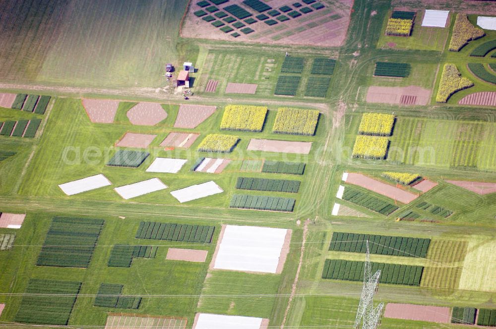 Aerial image Buttelstedt - Blick auf ein Feld bei Daasdorf. Dieses Bild entstand kurz vor den DLG-Feldtagen, welche vom 24.06. - 26.06.2008 stattgefunden haben. Zum Anbauvergleich werden die hier zu sehenden Minifelder genutzt. Kontakt: DLG e. V., Dr. Reinhard Grandke (Hauptgeschäftsführer), Eschborner Landstraße 122, 60489 Frankfurt, Tel.: +49(0)69 24788 0, Fax: +49(0)69 24788 110, E-Mail: info@DLG.org