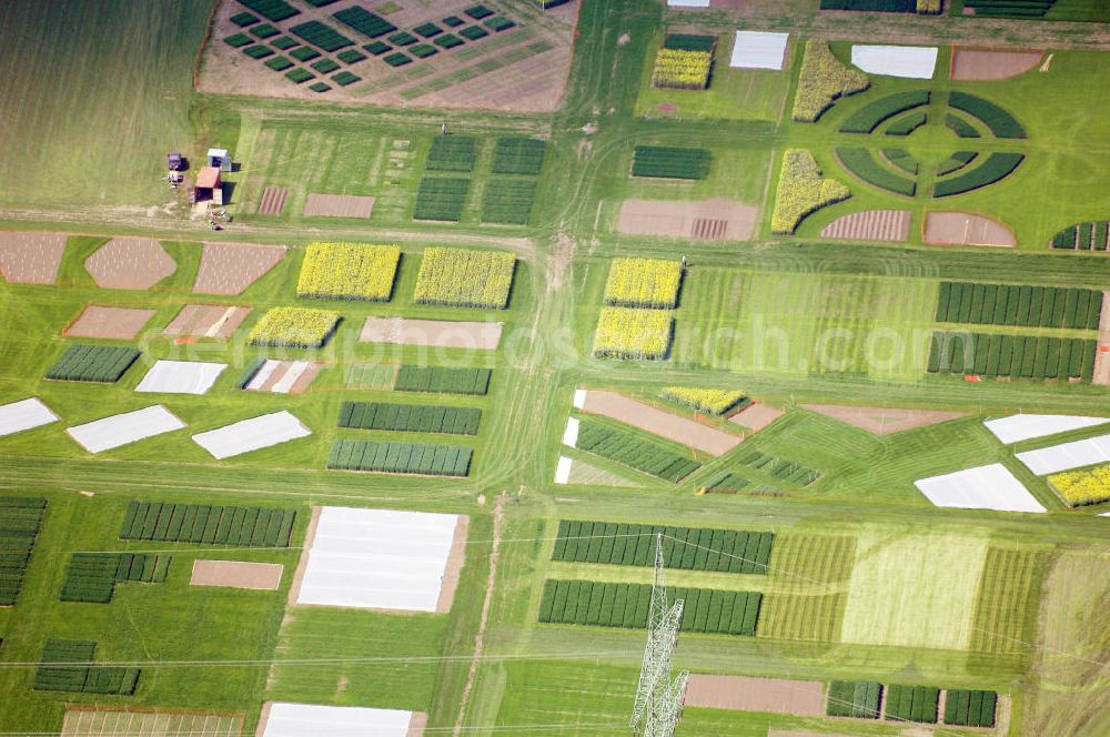 Aerial photograph Buttelstedt - Blick auf ein Feld bei Daasdorf. Dieses Bild entstand kurz vor den DLG-Feldtagen, welche vom 24.06. - 26.06.2008 stattgefunden haben. Zum Anbauvergleich werden die hier zu sehenden Minifelder genutzt. Kontakt: DLG e. V., Dr. Reinhard Grandke (Hauptgeschäftsführer), Eschborner Landstraße 122, 60489 Frankfurt, Tel.: +49(0)69 24788 0, Fax: +49(0)69 24788 110, E-Mail: info@DLG.org