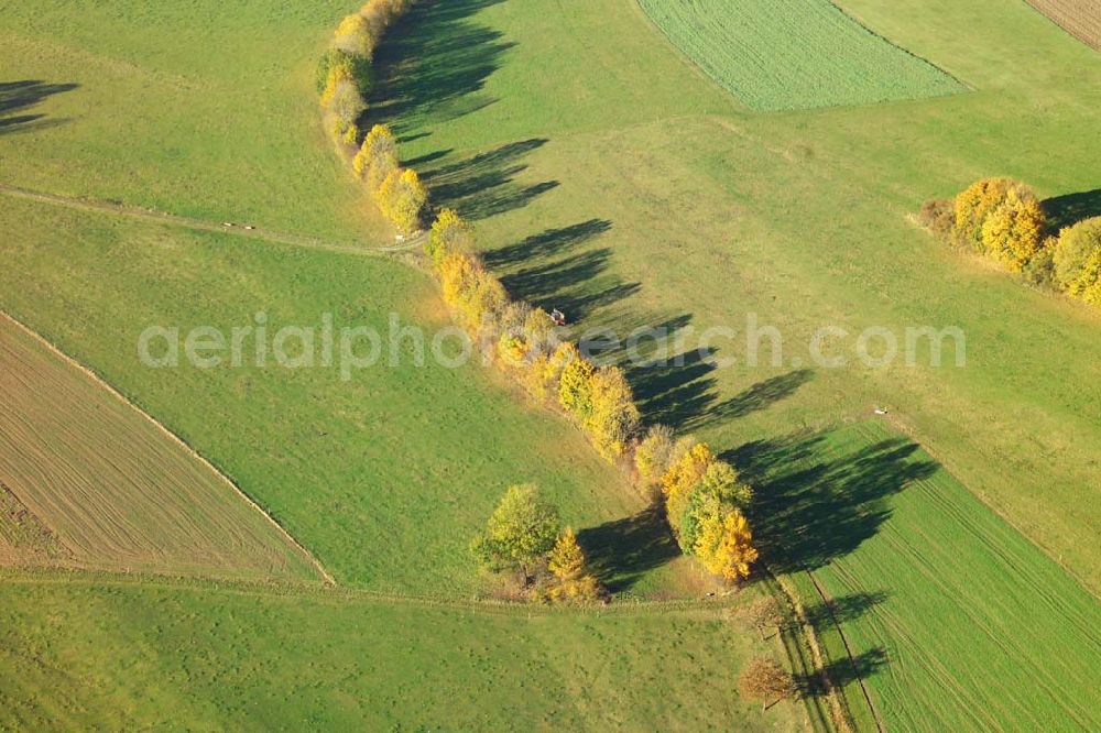 Hofbieber from above - 28.10.2005 Hofbieber, Viele Felder und ein schöner Wald bei Hofbieber.