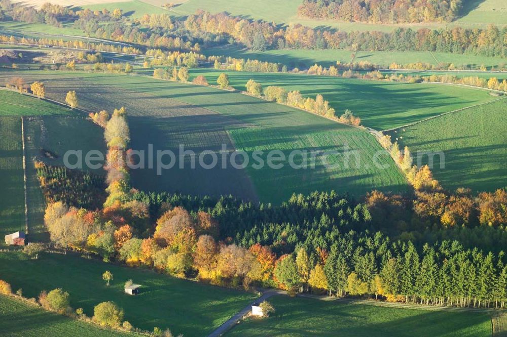 Hofbieber from above - 28.10.2005 Hofbieber, Viele Felder und ein schöner Wald bei Hofbieber.