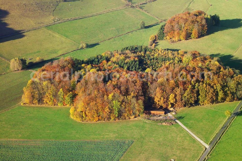 Aerial photograph Hofbieber - 28.10.2005 Hofbieber, Viele Felder und ein schöner Wald bei Hofbieber.