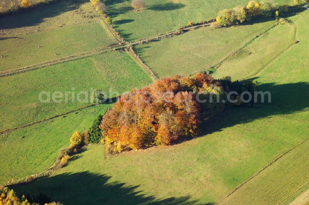 Hofbieber from above - 28.10.2005 Hofbieber, Viele Felder und ein schöner Wald bei Hofbieber.