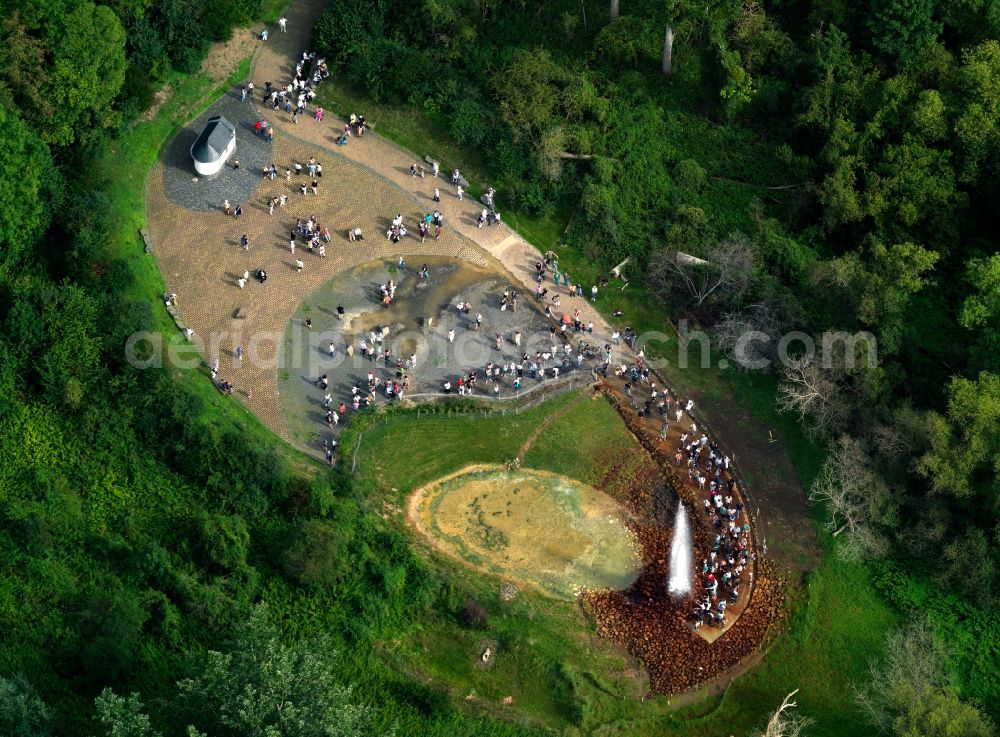 Aerial image Andernach - View of the geyser on the Namedyer Werth peninsula in Andernach in Rhineland-Palatinate