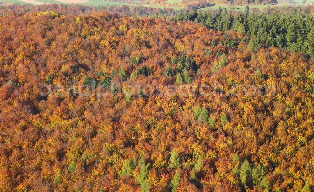 Hofbieber from the bird's eye view: 28.10.2005 Hofbieber, Der schöne Wald bei Hofbiebr im Herbst.