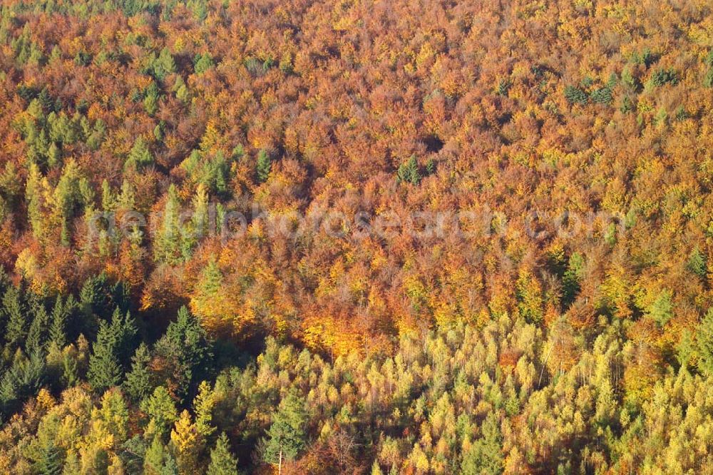 Aerial image Hofbieber - 28.10.2005 Hofbieber, Der schöne Wald bei Hofbiebr im Herbst.