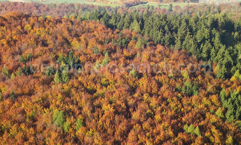 Aerial photograph Hofbieber - 28.10.2005 Hofbieber, Der schöne Wald bei Hofbiebr im Herbst.