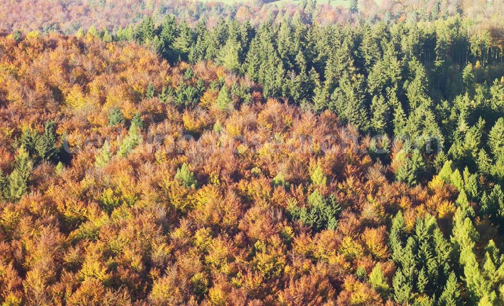 Hofbieber from above - 28.10.2005 Hofbieber, Der schöne Wald bei Hofbiebr im Herbst.