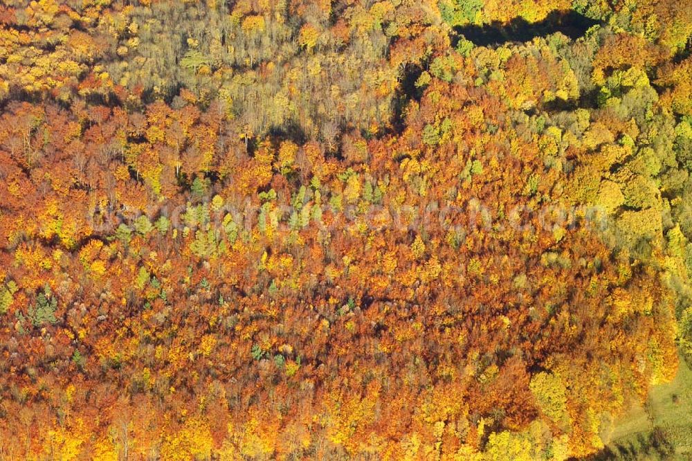 Aerial image Hofbieber - 28.10.2005 Hofbieber, Der schöne Wald bei Hofbieber im Herbst.