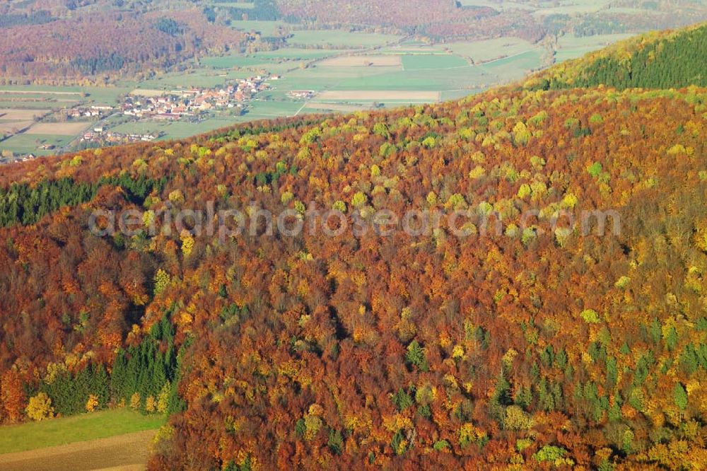 Hofbieber from above - 28.10.2005 Hofbieber, Der schöne Wald bei Hofbiebr im Herbst mit dem Ort als Hintergrund.