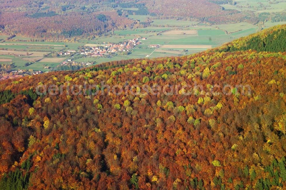 Hofbieber from the bird's eye view: 28.10.2005 Hofbieber, Der schöne Wald bei Hofbiebr im Herbst mit dem Ort als Hintergrund.