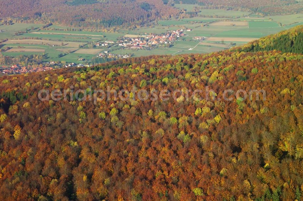 Aerial image Hofbieber - 28.10.2005 Hofbieber, Der schöne Wald bei Hofbiebr im Herbst mit dem Ort als Hintergrund.