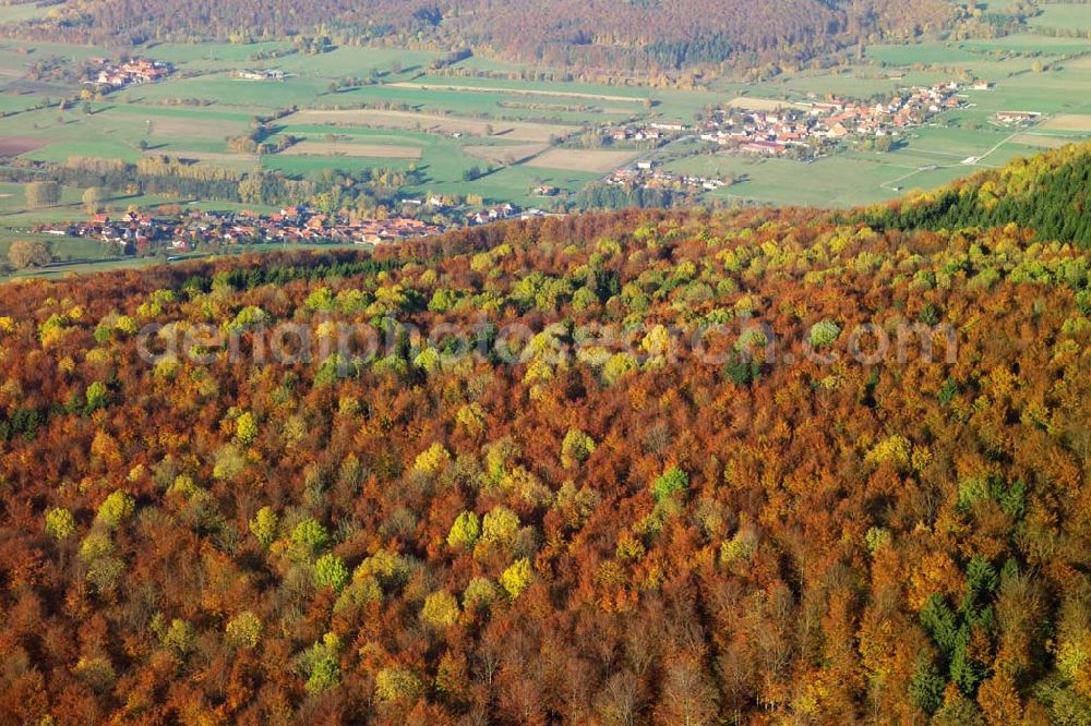 Hofbieber from above - 28.10.2005 Hofbieber, Der schöne Wald bei Hofbiebr im Herbst mit dem Ort als Hintergrund.