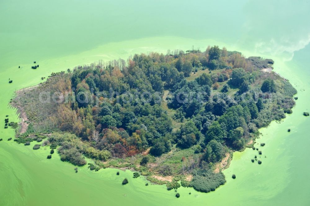 Quitzdorf am See from the bird's eye view: View of heart-shaped island in the dam Quitzdorf in Saxony