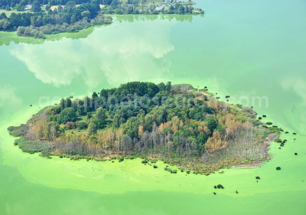 Aerial photograph Quitzdorf am See - View of heart-shaped island in the dam Quitzdorf in Saxony