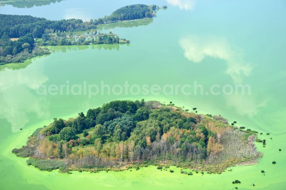 Quitzdorf am See from above - View of heart-shaped island in the dam Quitzdorf in Saxony